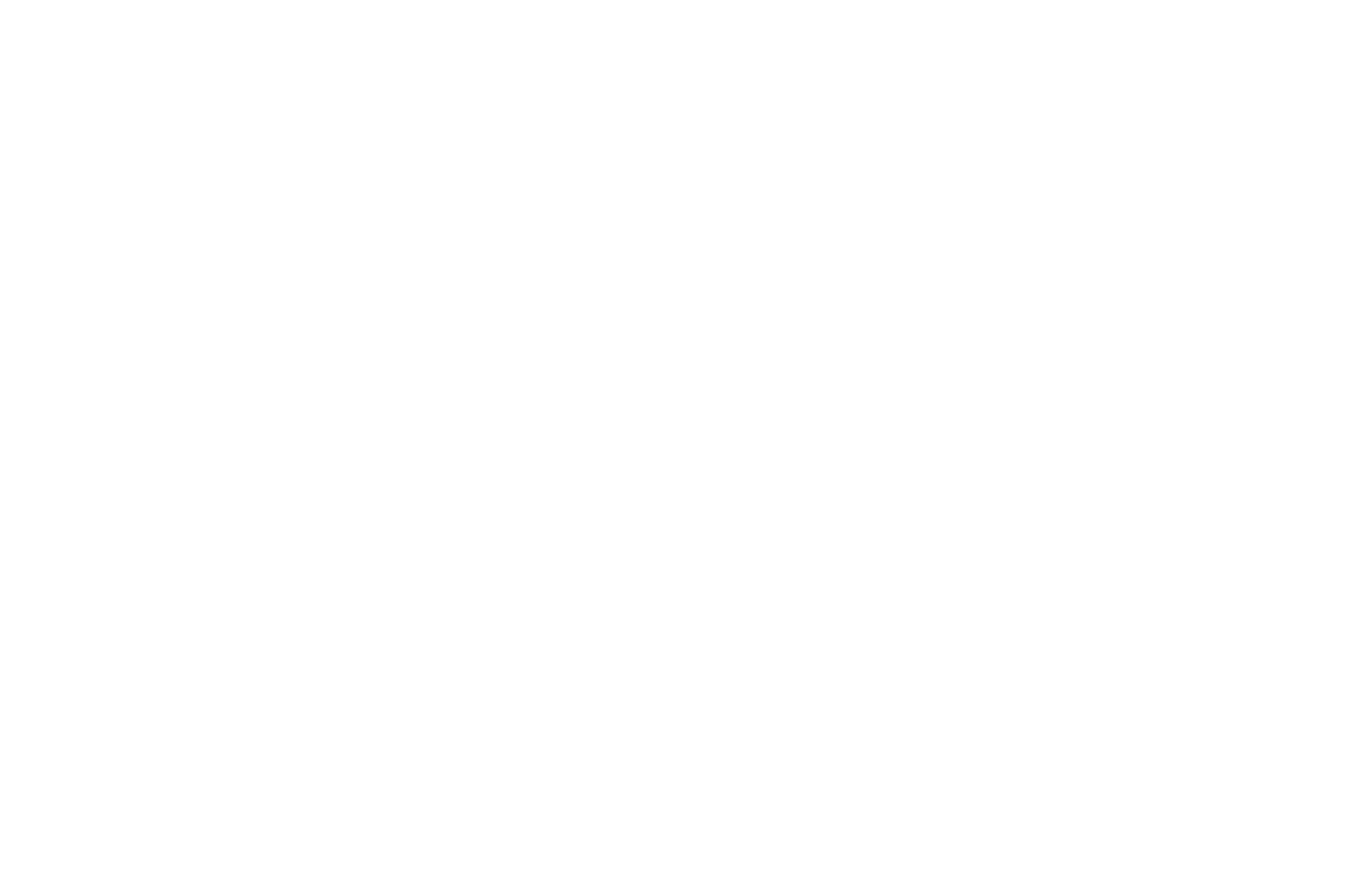 O-Mikron logo